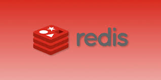 致命错误: Call to undefined method app\common\library\token\driver\Redis::ping()